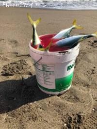 �參�����ʥ�