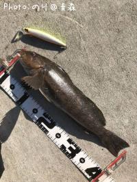 �����ʥ�