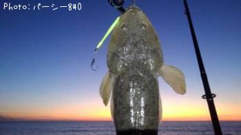 ¥Õ¥é¥Ã¥È¥Ø¥Ã¥É