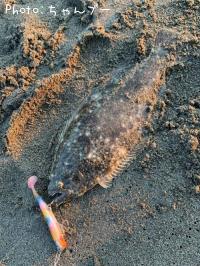 �ҥ��ʥ�����