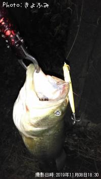 �֥�å��Х�