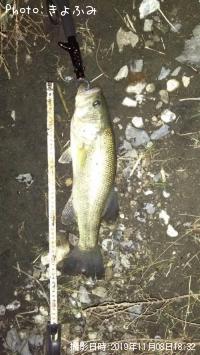 �֥�å��Х�