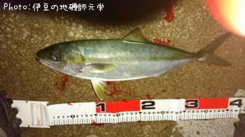 �����᥸��