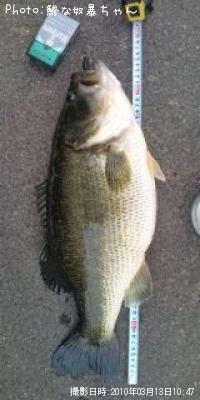 ¥Ö¥é¥Ã¥¯¥Ð¥¹