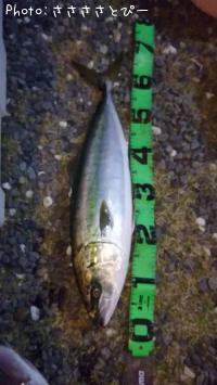 ��饵��������������ϥ�