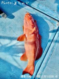 ¥¹¥¸¥¢¥é¡Ú¥¢¥«¥¸¥ó¡Û