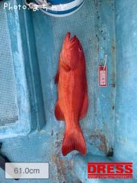 ¥¹¥¸¥¢¥é¡Ú¥¢¥«¥¸¥ó¡Û