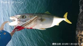 ¥¤¥Ê¥À¡¦¥µ¥Ð