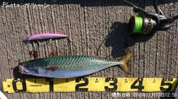 ¥¤¥Ê¥À¡¦¥µ¥Ð