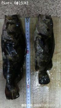 �����Υ���Х�