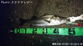 �����Х�