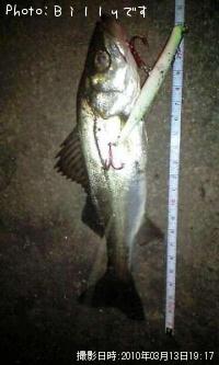 �����Х�