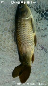 µ¶Êª¸ñ¡ª¡ª