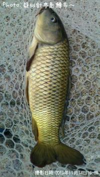 µ¶Êª¸ñ¡ª¡ª