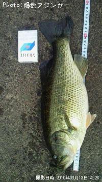 ¥Ö¥é¥Ã¥¯¥Ð¥¹