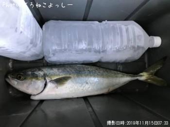 ¥¤¥Ê¥À