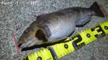 �����ʥ�