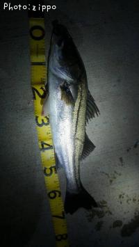 �����Х�