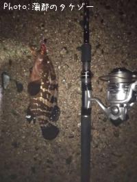 �����ϥ�