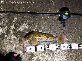 �����ʥ�