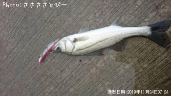 �����Х�