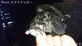 ��饽���������Х�