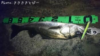 �����Х�