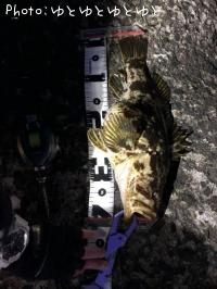 �����Υ���Х�