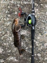 �����ʥ�