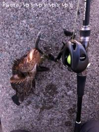 �����Υ���Х�