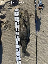 �����Х�