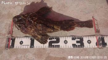 ¥Ü¥Ã¥±¡Ê¥±¥à¥·¥«¥¸¥«¡Ë