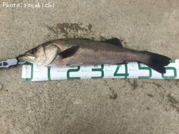 �����Х�