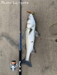 �����Х�