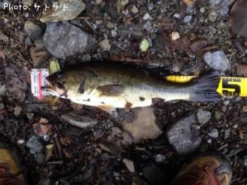 ¥Ö¥é¥Ã¥¯¥Ð¥¹