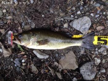 �֥�å��Х�