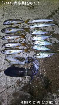 ¥à¥Ä¡¢¥¢¥¸¡¢¥«¥Þ¥¹¡¢¥¢¥ª¥ê¥¤¥«