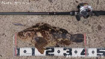 �����Υ���Х�