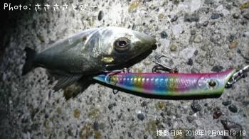 �����Х�