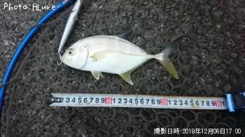 ��å�����