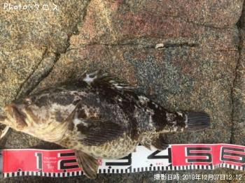 �٥å�������