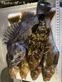 �����ʥᡡ����