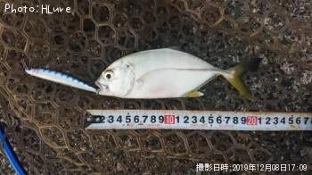 ��å�����