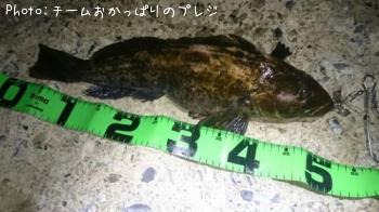 �����ʥ�