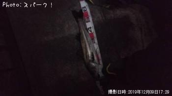 �����Х�