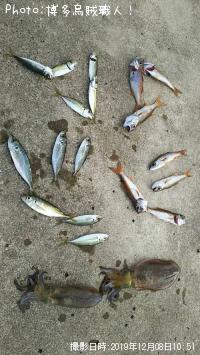 ¥¢¥ª¥ê¥¤¥«¡¢¥à¥Ä¡¢¥¢¥¸