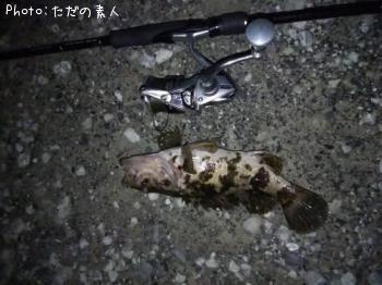 �����Υ���Х�