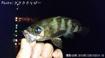 ��������Х롡