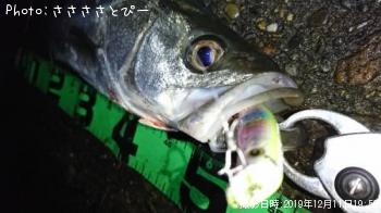 �����Х�