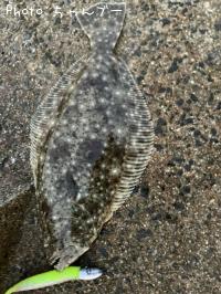 �ҥ��ʥ�����